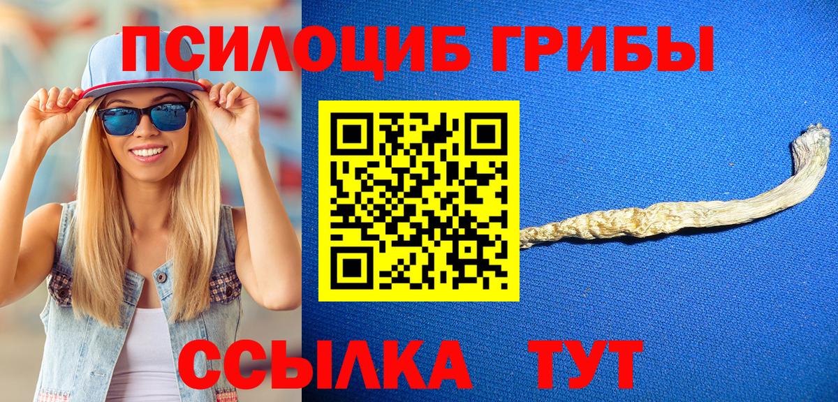 Псилоцибиновые грибы прущие грибы  Лянтор 