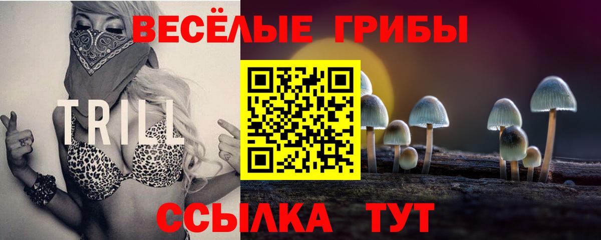 Псилоцибиновые грибы Magic Shrooms  Вход с VPN  Лянтор  даркнет сайт  Галлюциногенные грибы MAGIC MUSHROOMS 